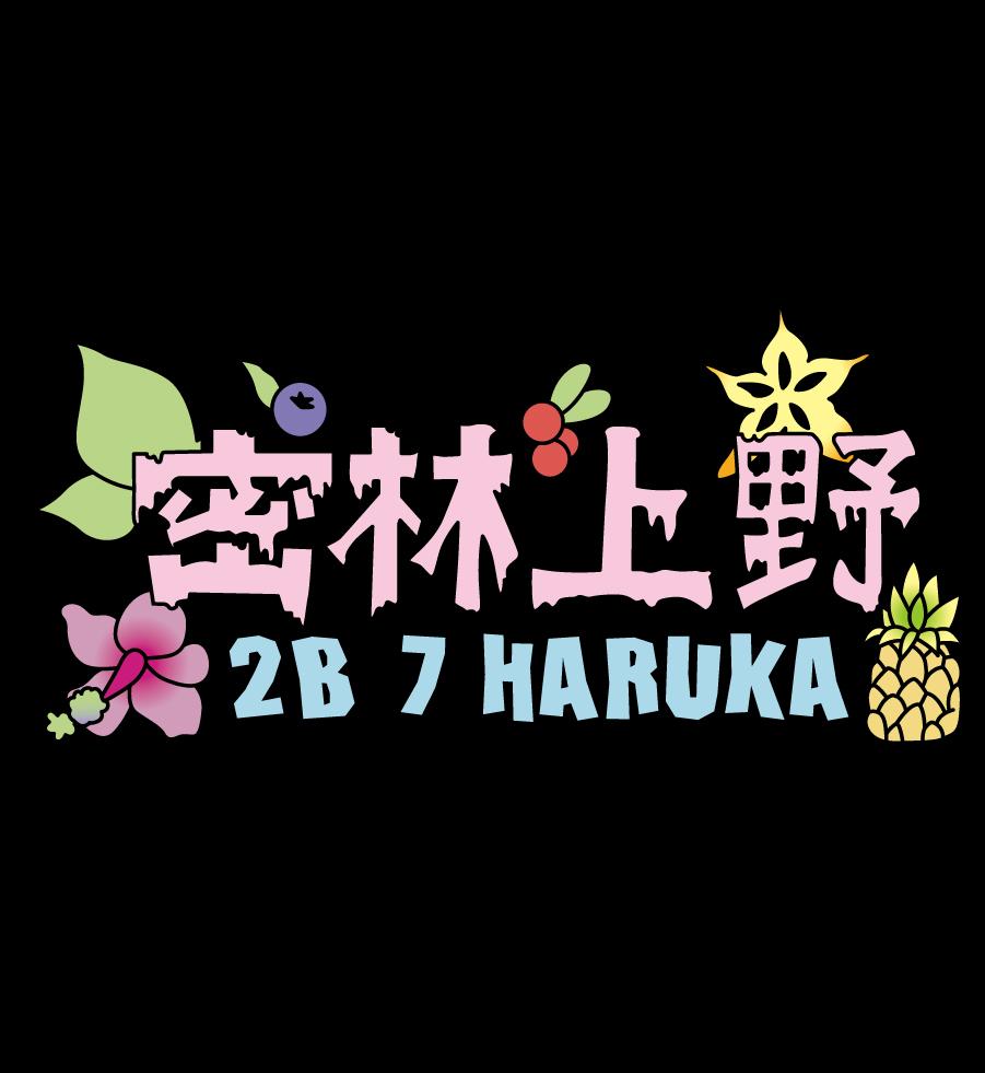 A前面のプリントデザイン